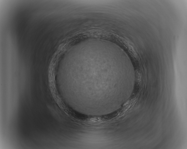 X0000102771489200808181118