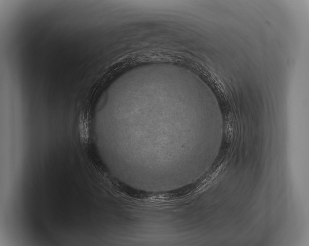 X0000102771490200808181118