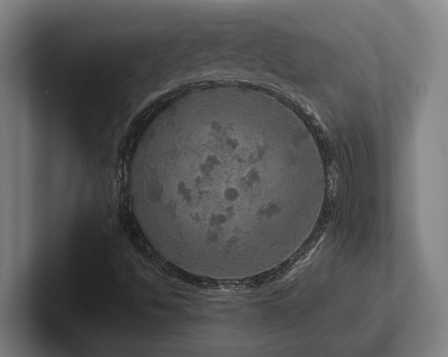 X0000102771494200808181118
