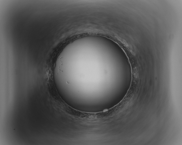 X0000102771495200808181118