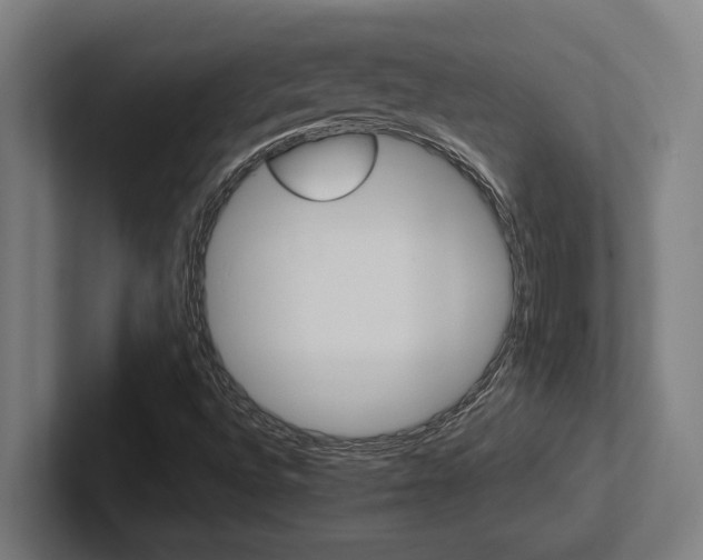X0000102771496200808181118