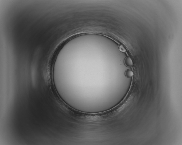 X0000102771498200808181118