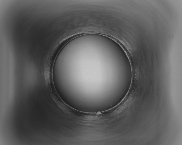 X0000102771499200808181118