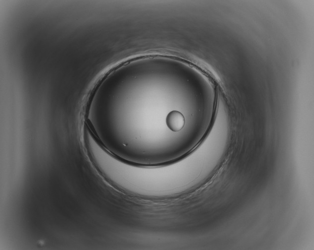 X0000102771504200808181119