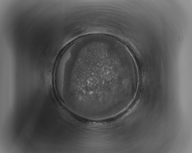 X0000102771505200808181119