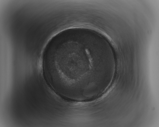 X0000102771506200808181119