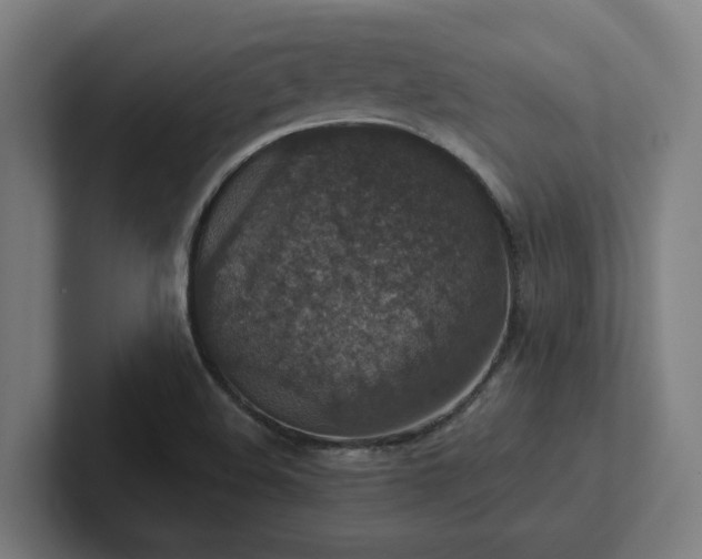 X0000102771508200808181119