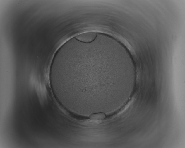 X0000102771513200808181119