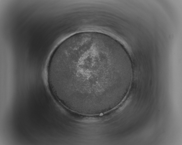 X0000102771517200808181119
