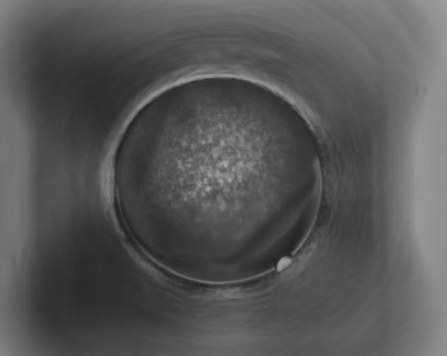X0000102771519200808181119