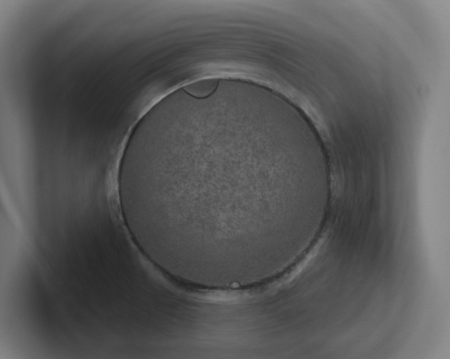 X0000102771521200808181119