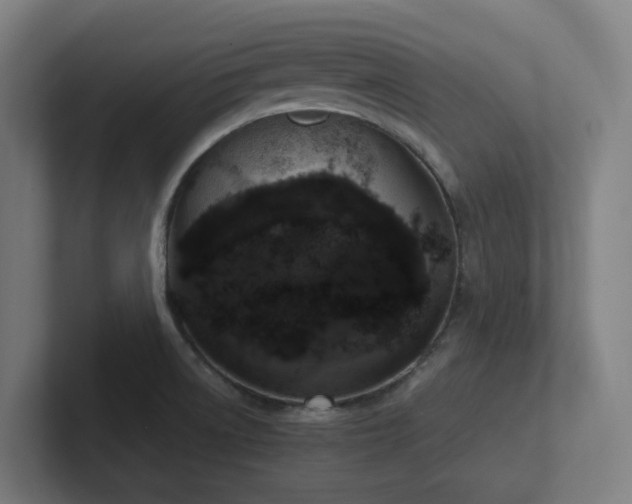 X0000102771522200808181119