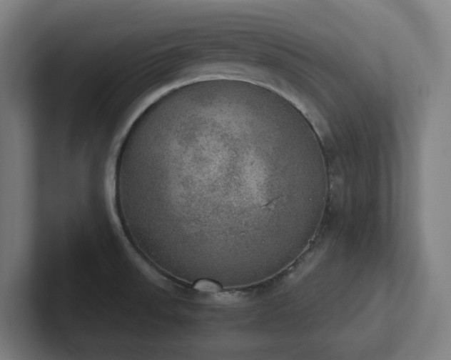 X0000102771523200808181119