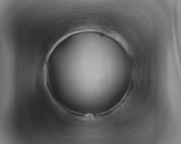 X0000102771524200808181119