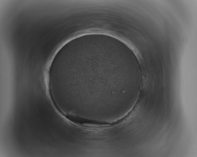 X0000102771527200808181119