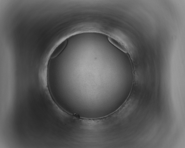 X0000102771528200808181119