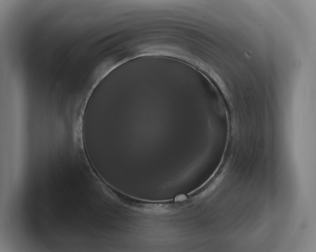 X0000102771529200808181119