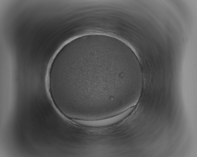 X0000102771531200808181119