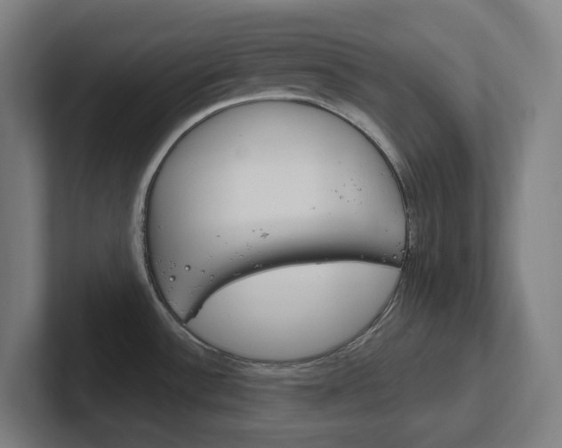 X0000102771532200808181119