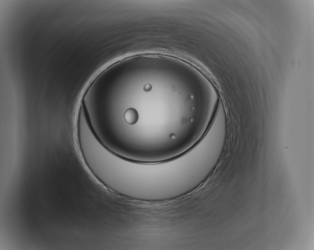 X0000102771536200808181119