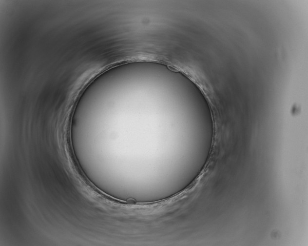 X0000102770001200808251103