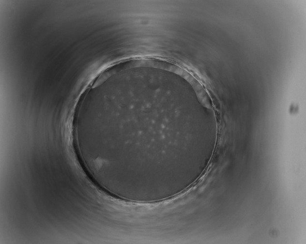 X0000102770002200808251103