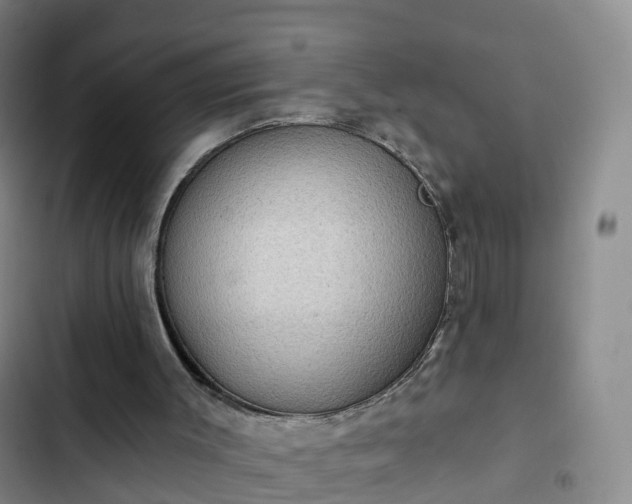 X0000102770003200808251103