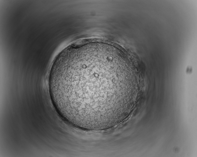 X0000102770004200808251103