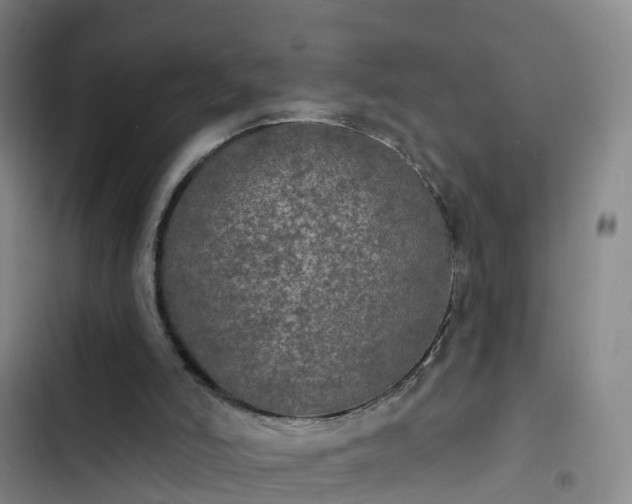 X0000102770006200808251103