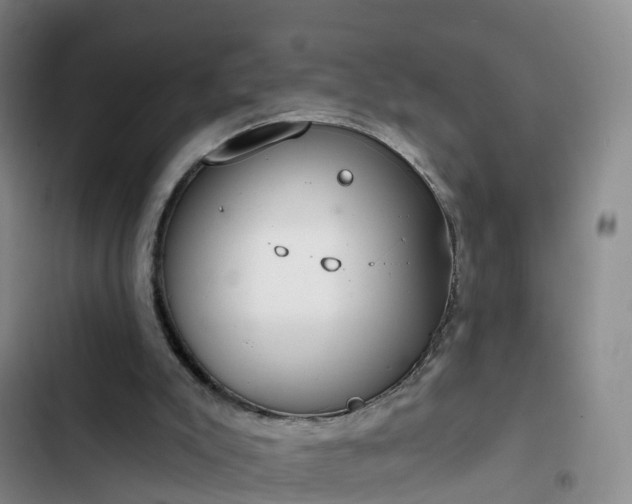 X0000102770007200808251103