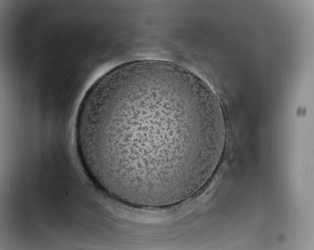 X0000102770008200808251103