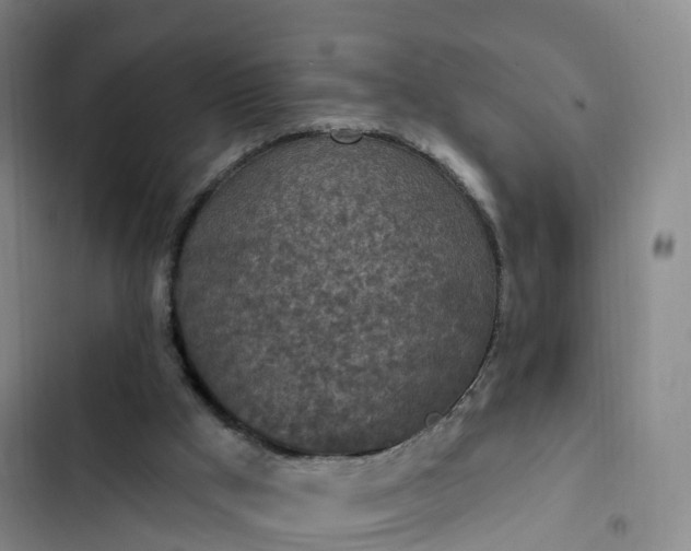 X0000102770009200808251103