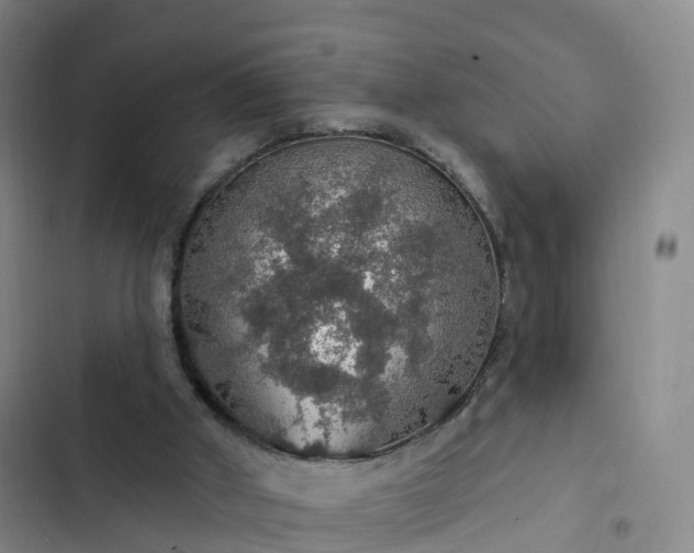 X0000102770010200808251103