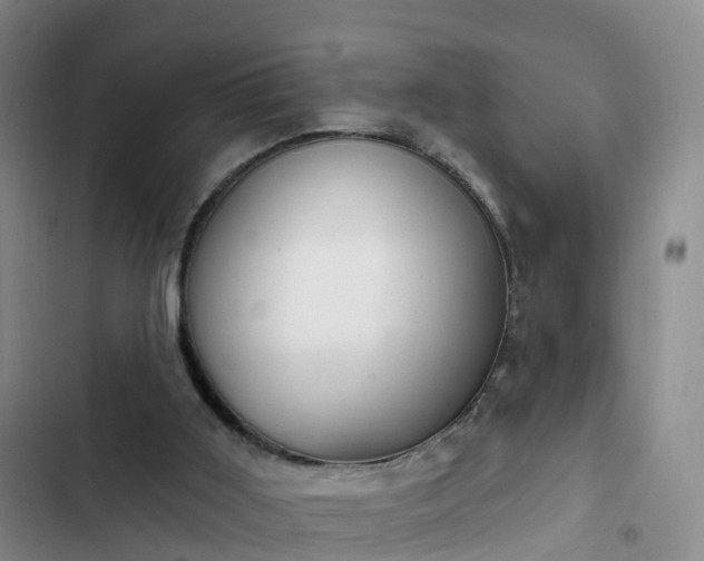 X0000102770011200808251103