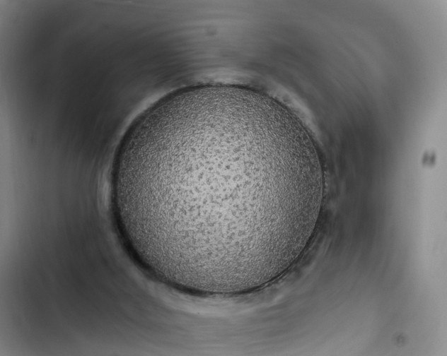 X0000102770012200808251103