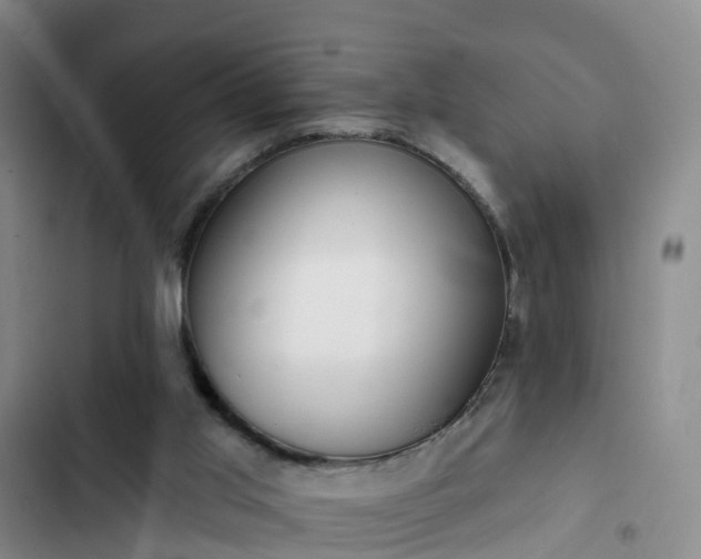 X0000102770013200808251103