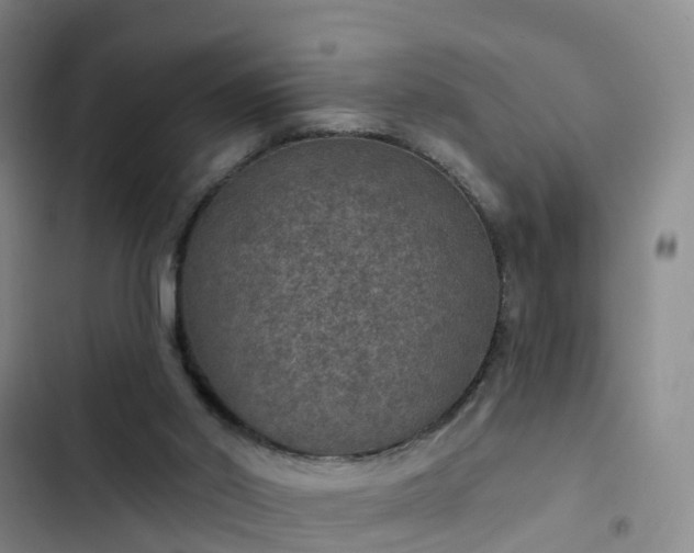 X0000102770014200808251103