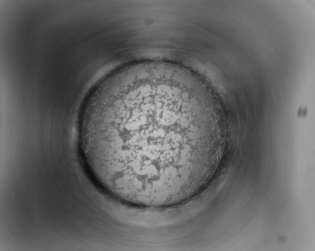 X0000102770016200808251103