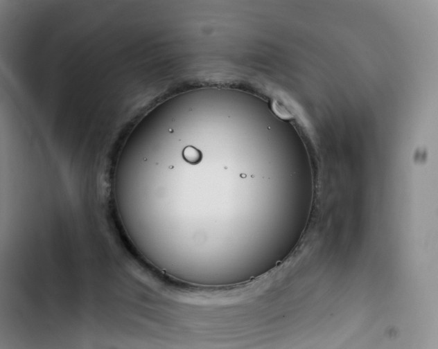 X0000102770017200808251103