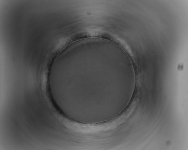 X0000102770018200808251103