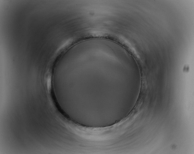 X0000102770019200808251103