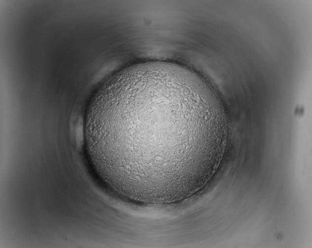 X0000102770020200808251103