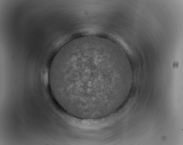 X0000102770022200808251103