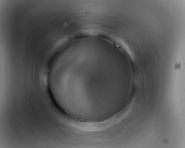 X0000102770023200808251103