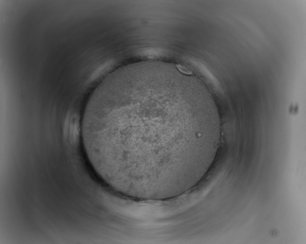 X0000102770024200808251103