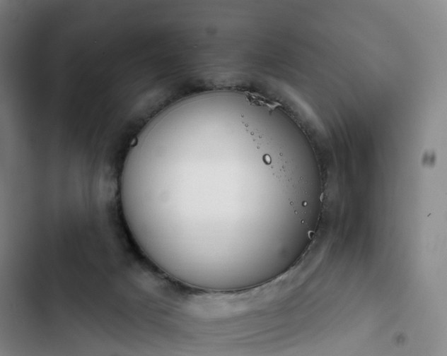 X0000102770025200808251103