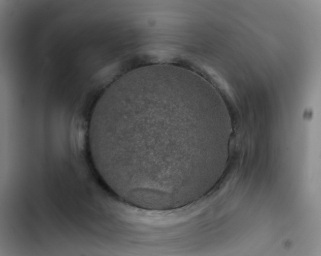 X0000102770026200808251103