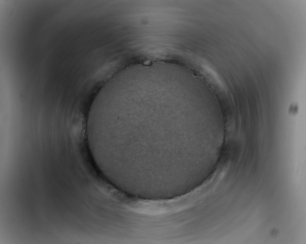 X0000102770029200808251103