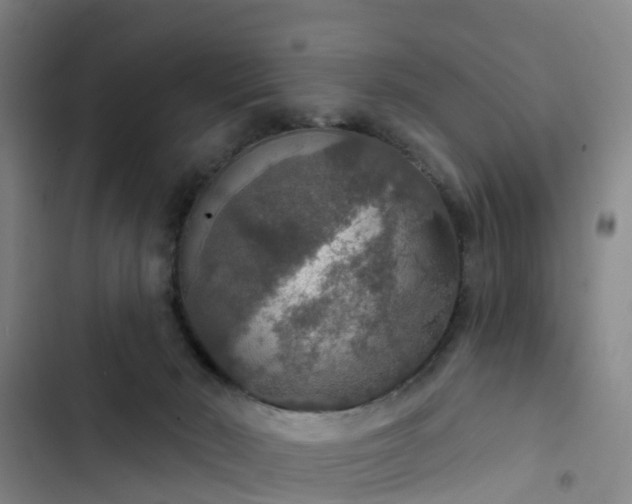 X0000102770030200808251103