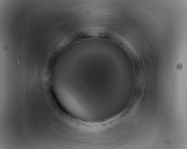 X0000102770031200808251103